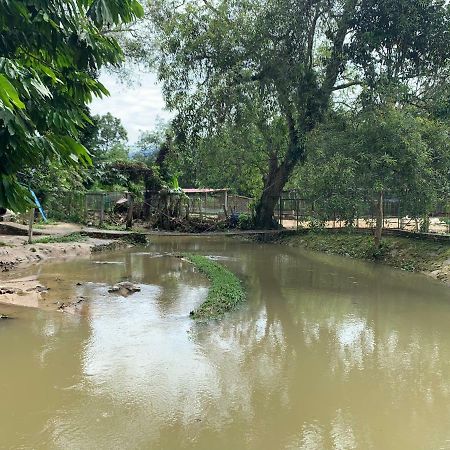 Happy Paradise Kampung Janda Baik Εξωτερικό φωτογραφία